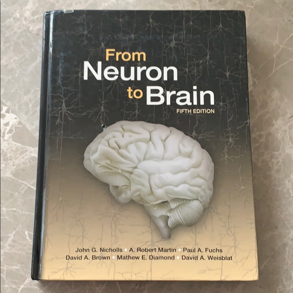 Neuroscience Textbook